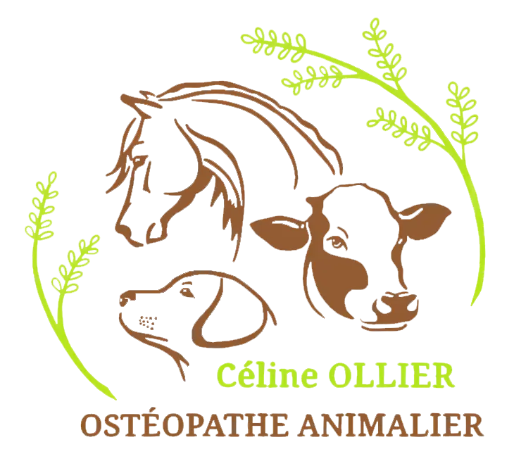 Logo - Céline Ollier - Ostéopathe animalier